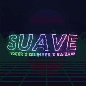 Suave (Remix) [feat. Kaizaak & Dilinyer] [Explicit]