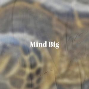 Mind Big