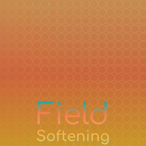 Field Softening