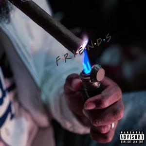 Fake Friends (feat. Fowler) [Explicit]