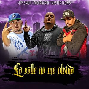 La Calle No Me Olvida (feat. Tabernario & Master Flowz) (Explicit)