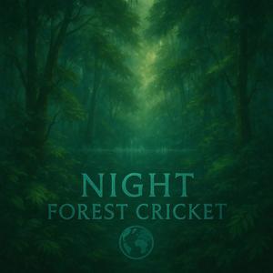 Night Forest Cricket (AI Vocal Version)
