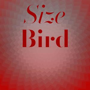 Size Bird