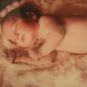 Canon in D (the Music Box and the Rose)