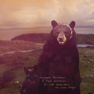 A Mountain of Flutes