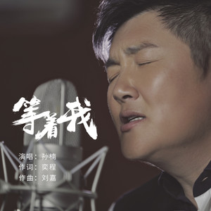 等着我 (伴奏)封面