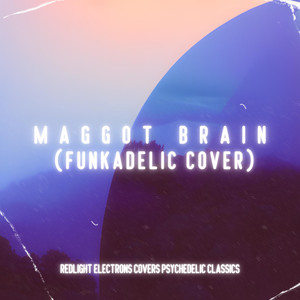 Maggot Brain (Funkadelic Cover)