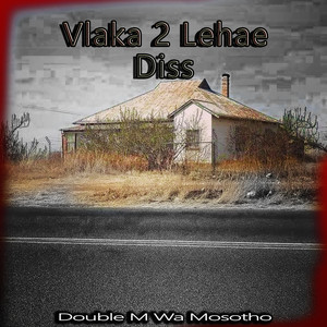 Vlaka2Lehae Diss