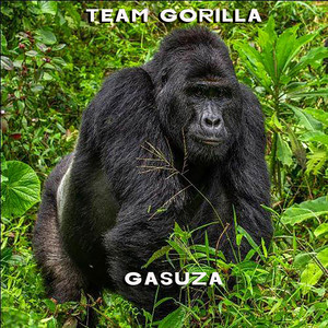 Team Gorilla