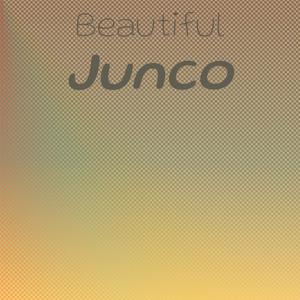 Beautiful Junco