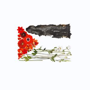 Palestine (feat. Usiku)
