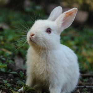 forgive me (Explicit)