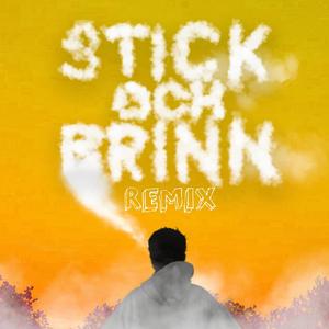 STICK OCH BRINN (REMIX)