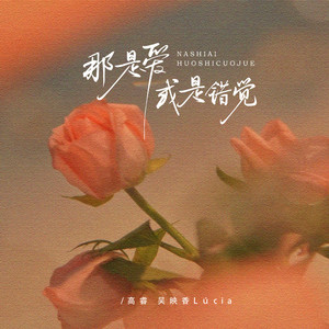 那是爱或是错觉