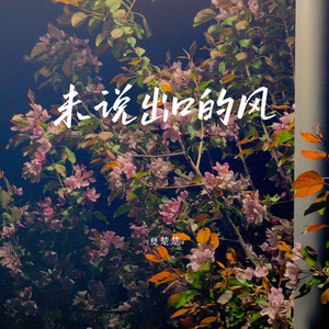 未说出口的风