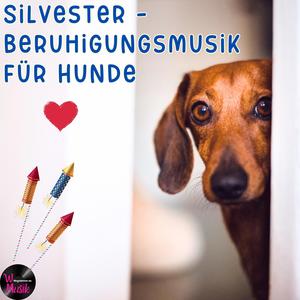 Silvester-Beruhigungsmusik für Hunde | Entspannungsmusik | Schlafmusik