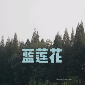 落花流水 (DJ版)