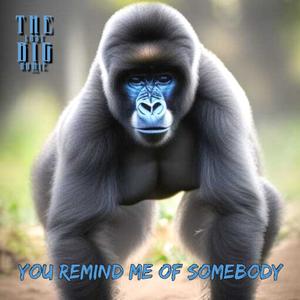 YOU REMIND ME OF SOMEBODY (Explicit)