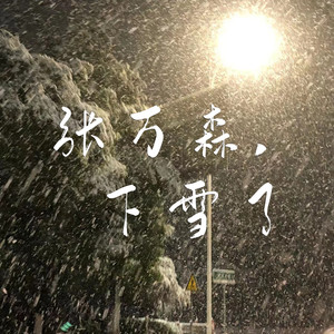 张万森,下雪了
