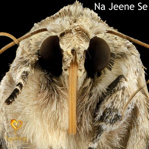 Na Jeene Se (OST)