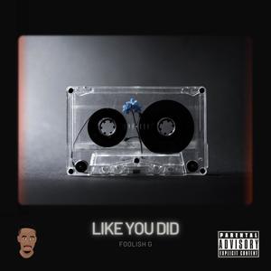 Like You Did (Explicit)