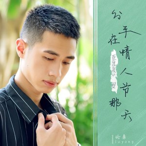 分手在情人节那天