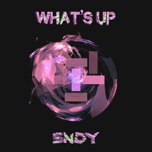 What's Up (Explicit)