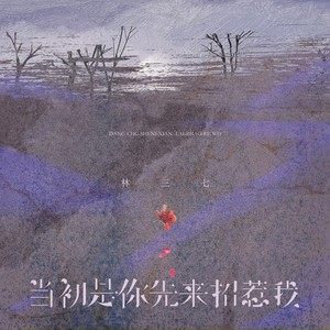 林三七《当初是你先来招惹我》[MP3_LRC]_MP3免费下载