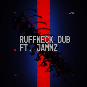 Ruffneck Dub