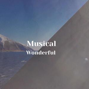 Musical Wonderful