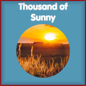 Thousand of Sunny