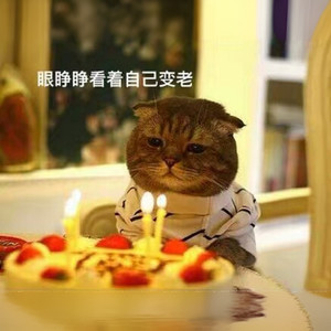 我多喜欢你，你会知道