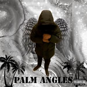 Palm Angles (Explicit)