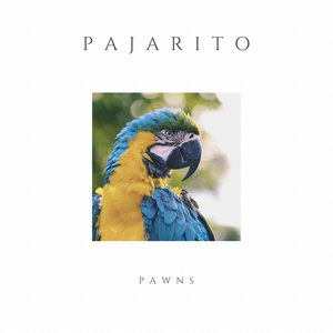 Pajarito