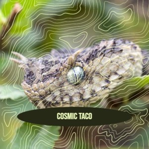 Cosmic Taco