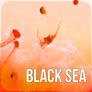 Black Sea - Easy Listening, Crystal World, Waves, Spa Music, Calmness, Water, Feel Good