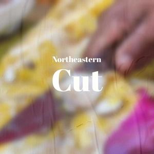 Northeastern Cut