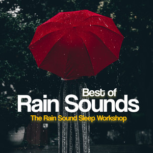 Best of Rain Sounds