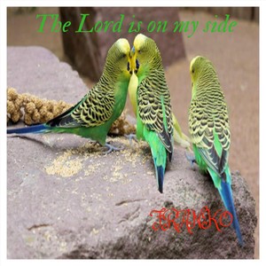 The Lord Is on My Side