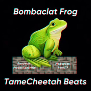 May I Flip The Bombaclat Frog Lab (Jersey Club)