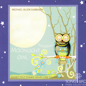 Moonlight Owl