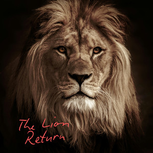The Lion Return