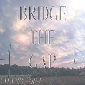 Bridge the Gap