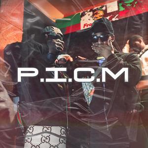 P.I.C.M (feat. 2A) [Explicit]