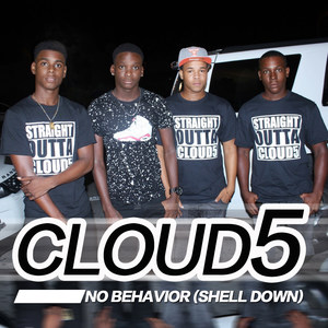 No Behavior Shell Down