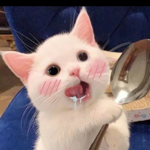 不谈恋爱