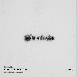 Can't Stop
