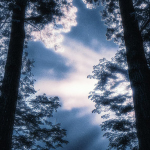 阳光总在风雨后 (动感版)