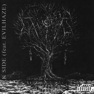 Dark Side (Explicit)