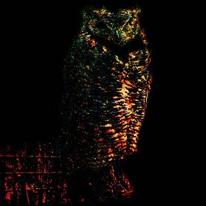 Búho (Explicit)